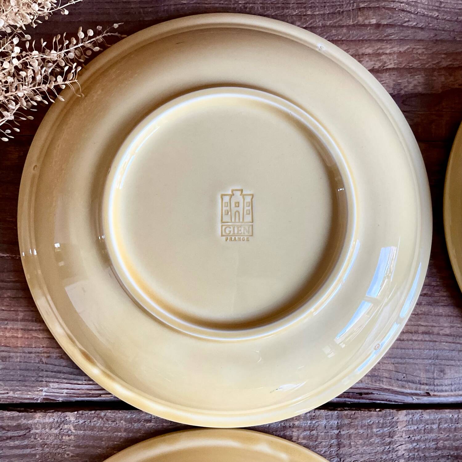 4 deep plates "Fuego" Gien France