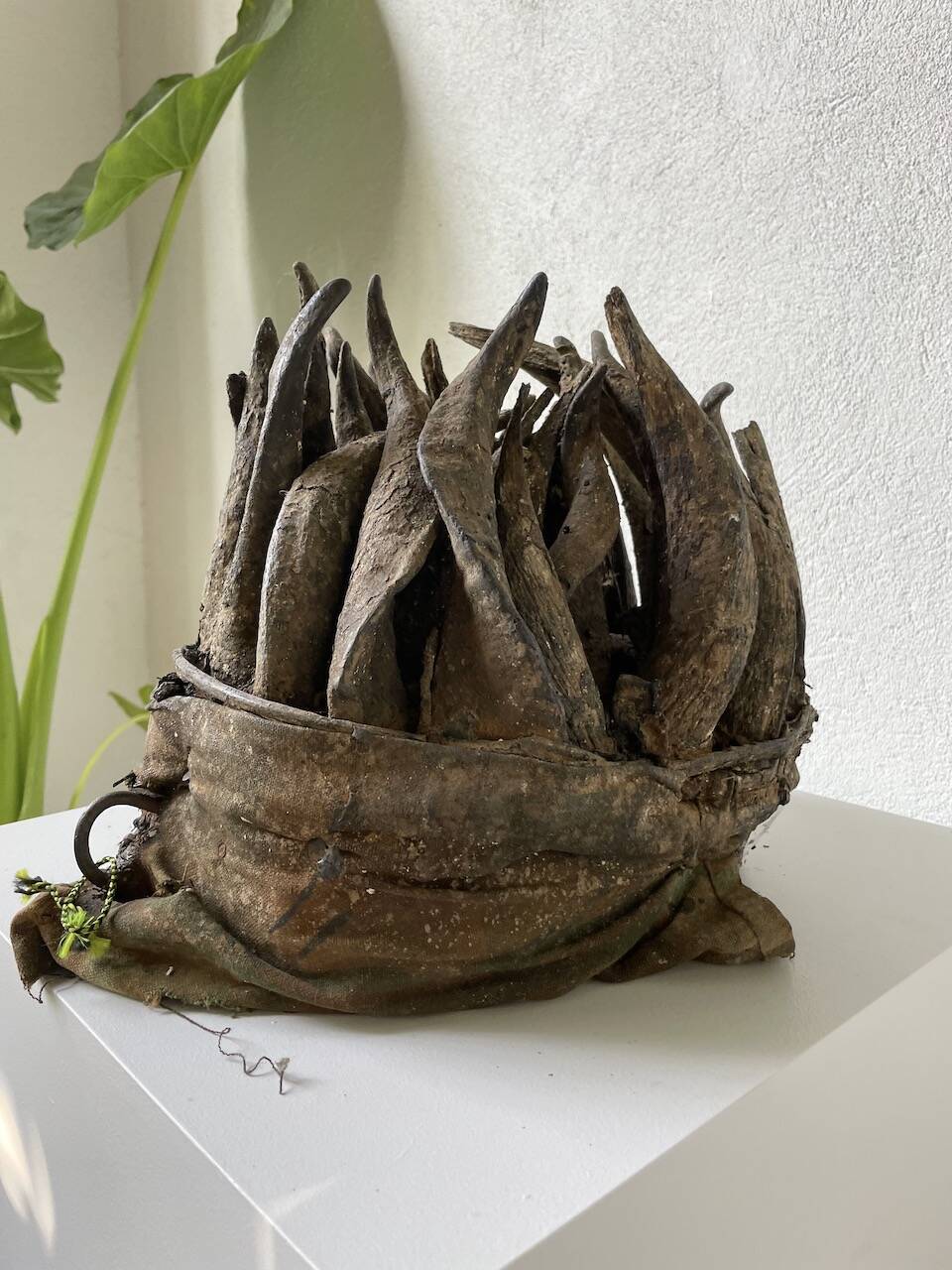 Bété Nyabwa mask Ivory Coast