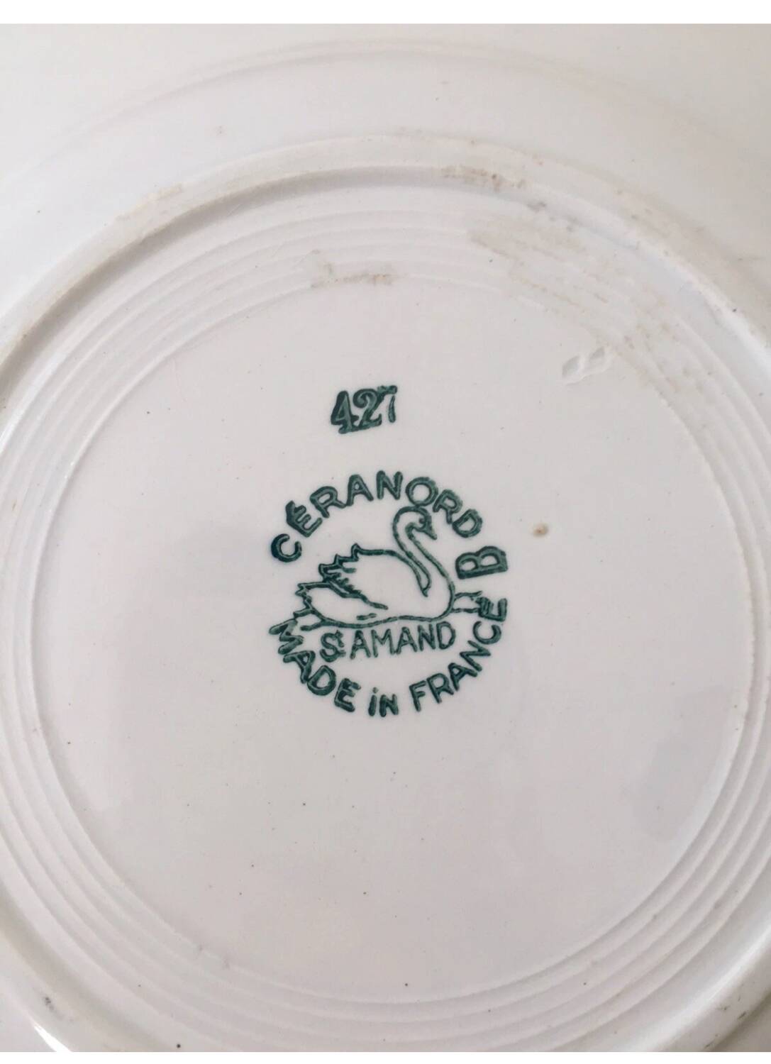 Ensemble de 9 assiettes Terre de fer fleurs vertes St Amand