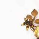 Pair of antique Gilt Italian Sconces – Italy 1960’s