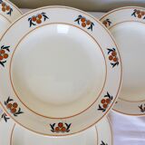 6 hollow plates in iron earth of the Salins model Mimosa 210745