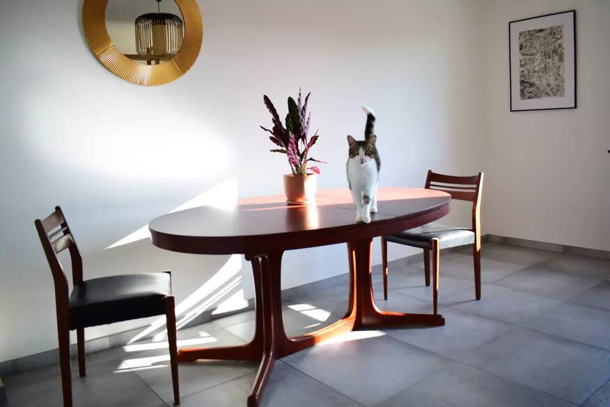 Vintage Baumann style dining table from the 1960s-1970s