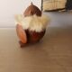 Figurine viking en teck