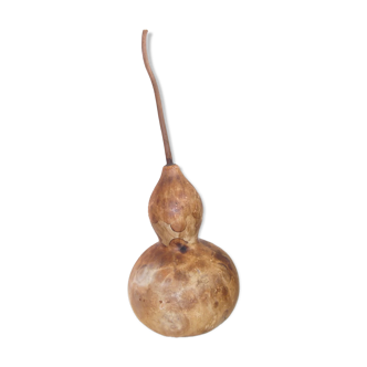 Gourd