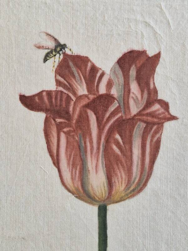La Roche Laffitte (Born in 1943) - Watercolour drawing on silk - Tulip