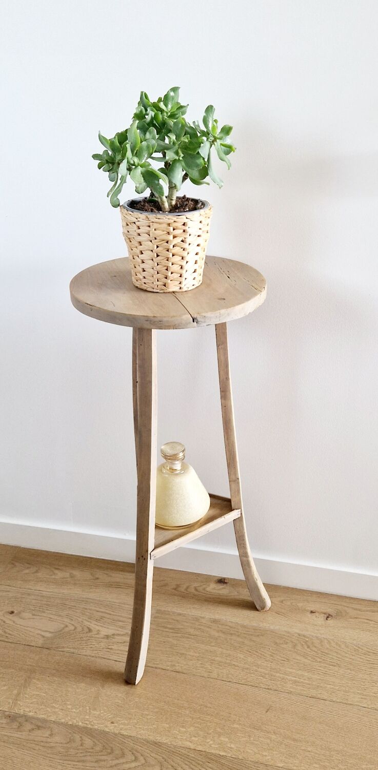 Old pedestal table driftwood