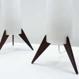 Pair of dark wood & acrylic rocket table lamps by Luxus, Sweden, 1960s