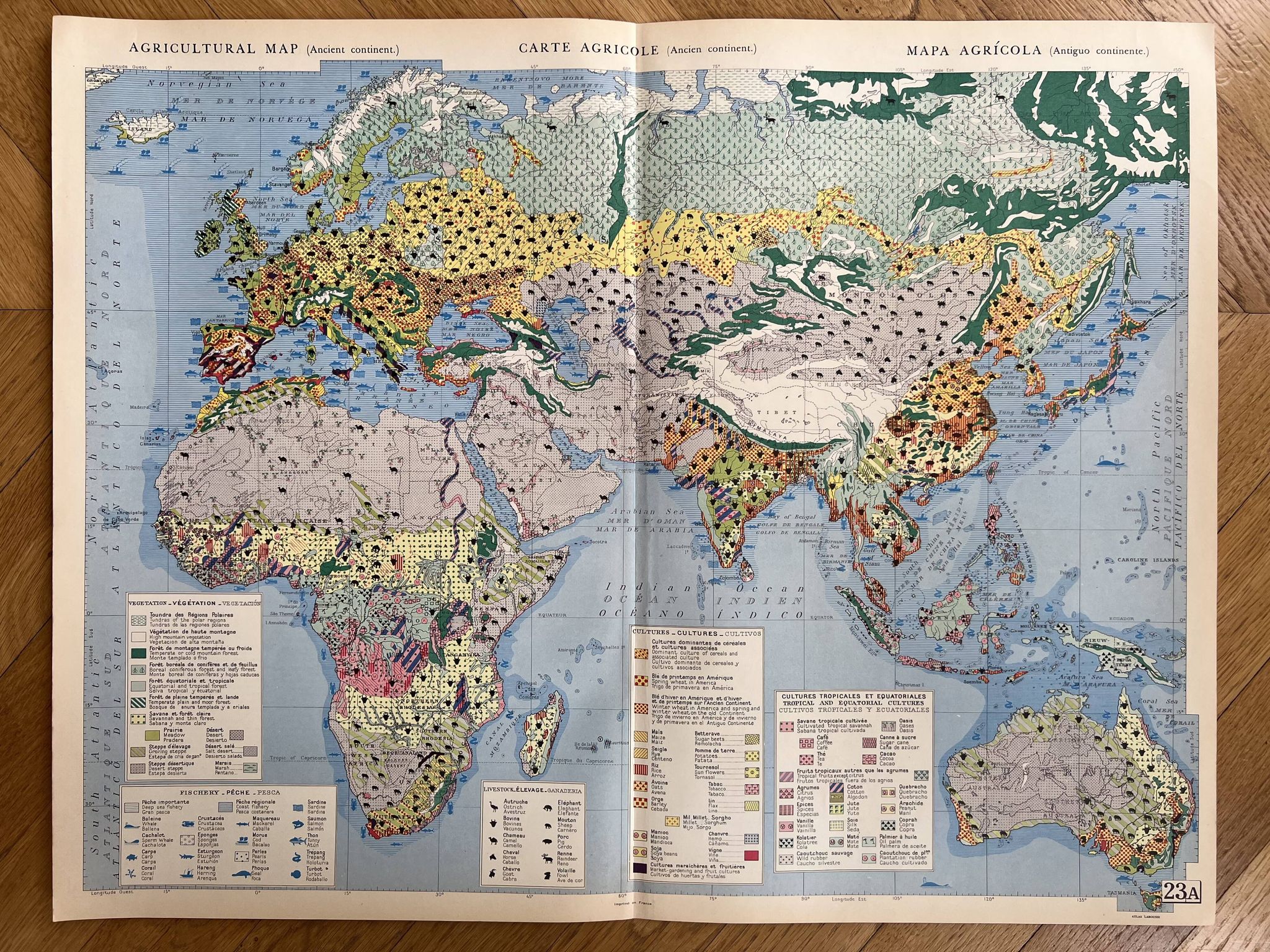 Carte agricole ancienne Ancien Continent — Végétation, Cultures, Éleva