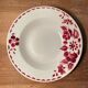 Set of 11 hollow plates Céranord St Amand model Jane