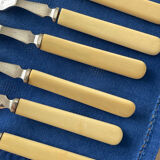 Vintage fish Cutlery set - Silver plated - set of 12 pieces