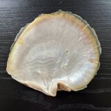 Mother-of-pearl shell pocket