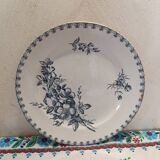 Assiette Sarreguemines vega fleurs bleues