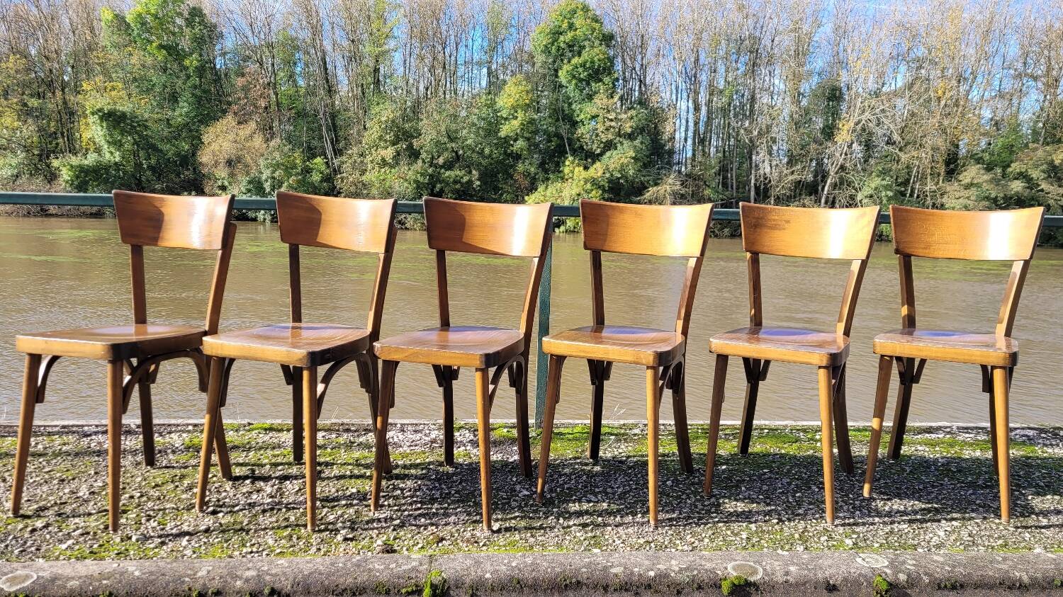 Series of 6 vintage old restaurant bistro chairs - 1950s