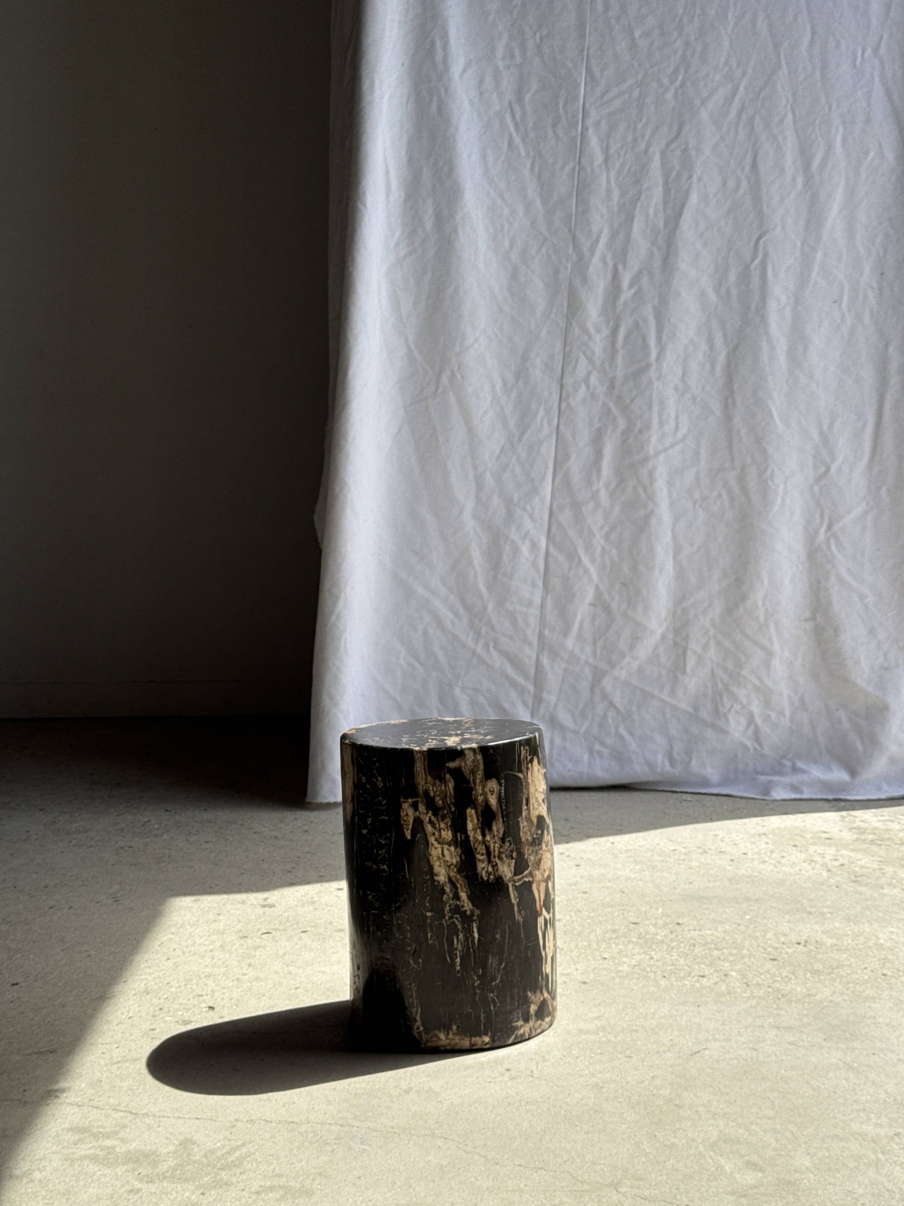 Black petrified wood side table with beige side H35 D24 - 3352