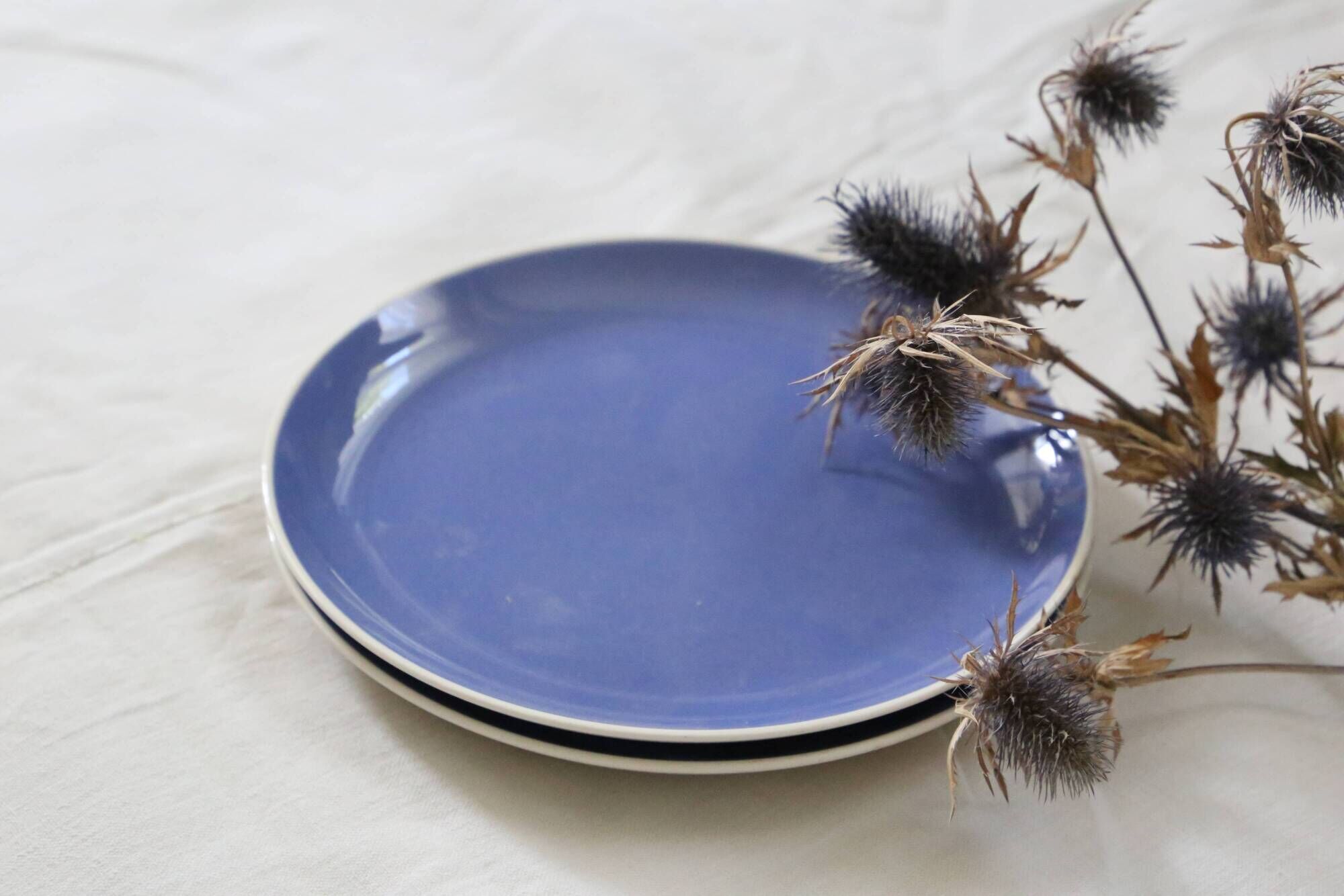 Duo of blue dessert plates, SAAR, Villeroy and Boch model, vintage