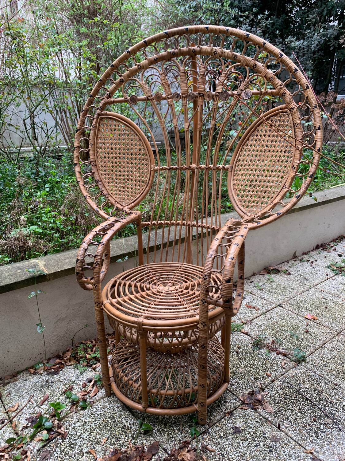 Peacock rattan armchair