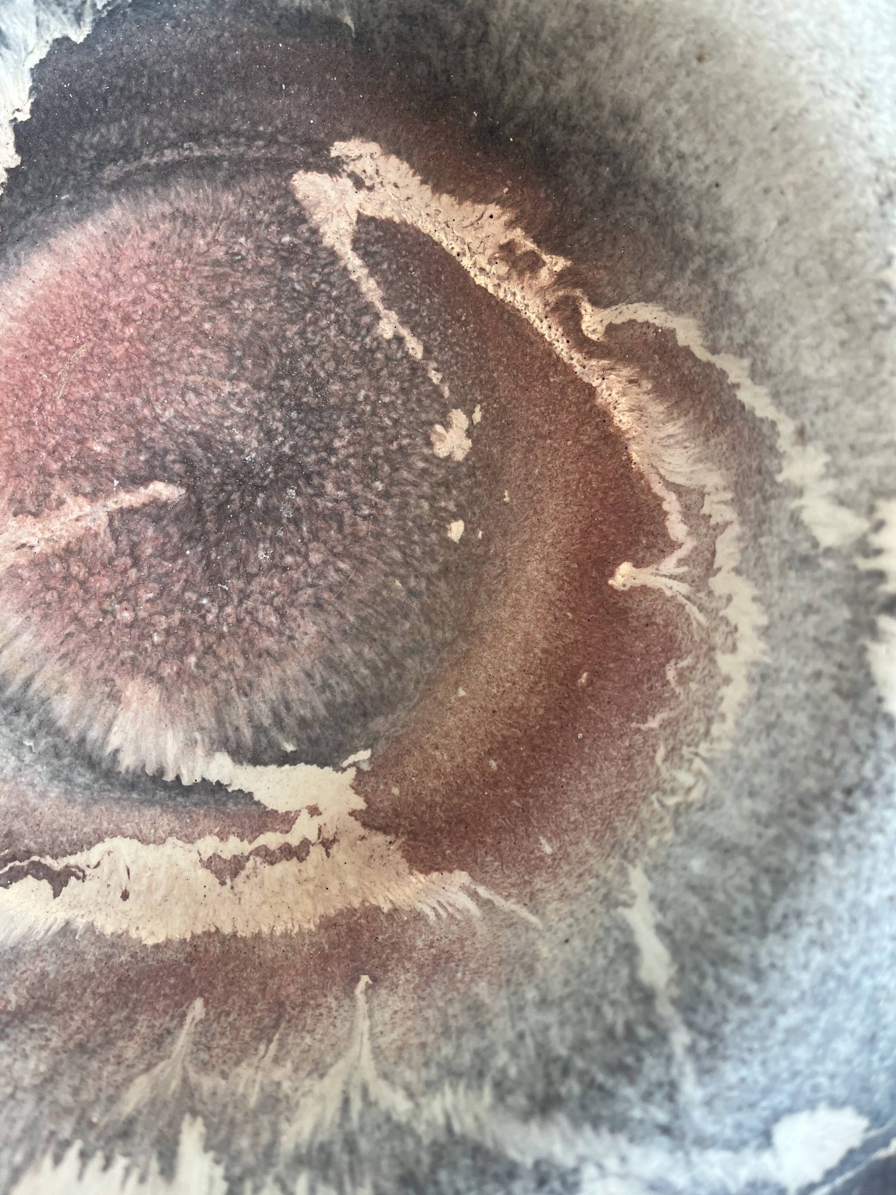 Ceramic plate "Ruschia"