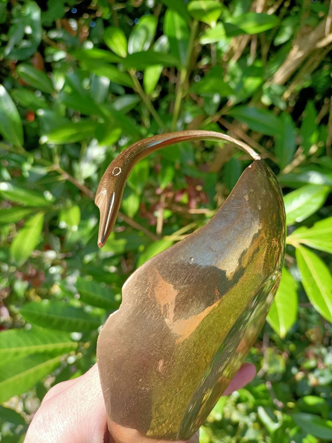 Swans pocket emptier