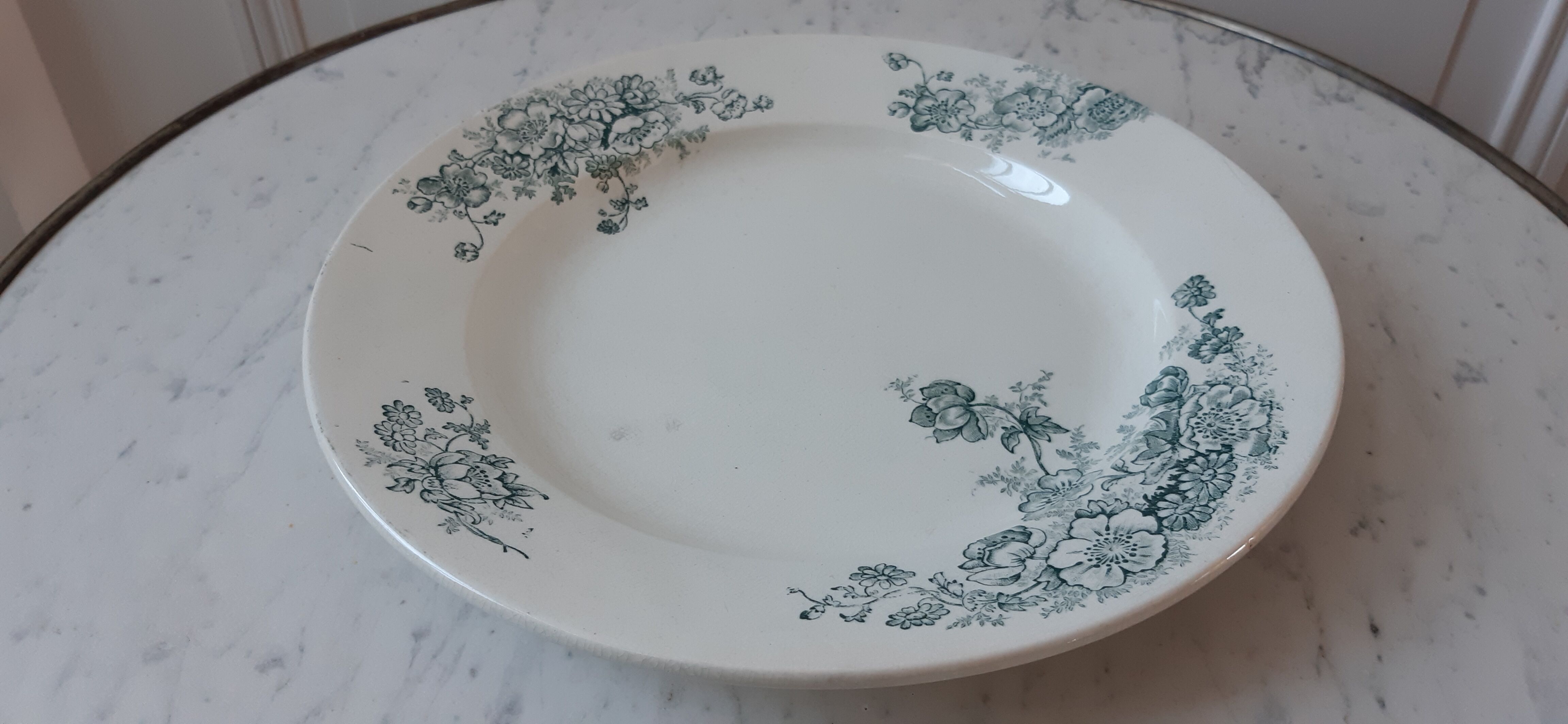 Round plate Iron Earth model Anemone late nineteenth
