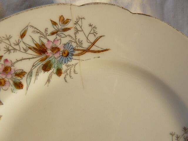 10 porcelain dessert plates xixth century