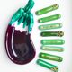 Ensemble aubergine en barbotine