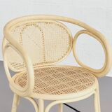Rattan and cane armchairs, set of 2