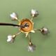Vintage chandelier in gold metal and mother-of-pearl petals - 5 branches