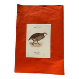 Botanical engraving birds double sided naturalist board