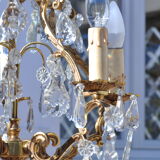Bronze cage chandelier with grapevines