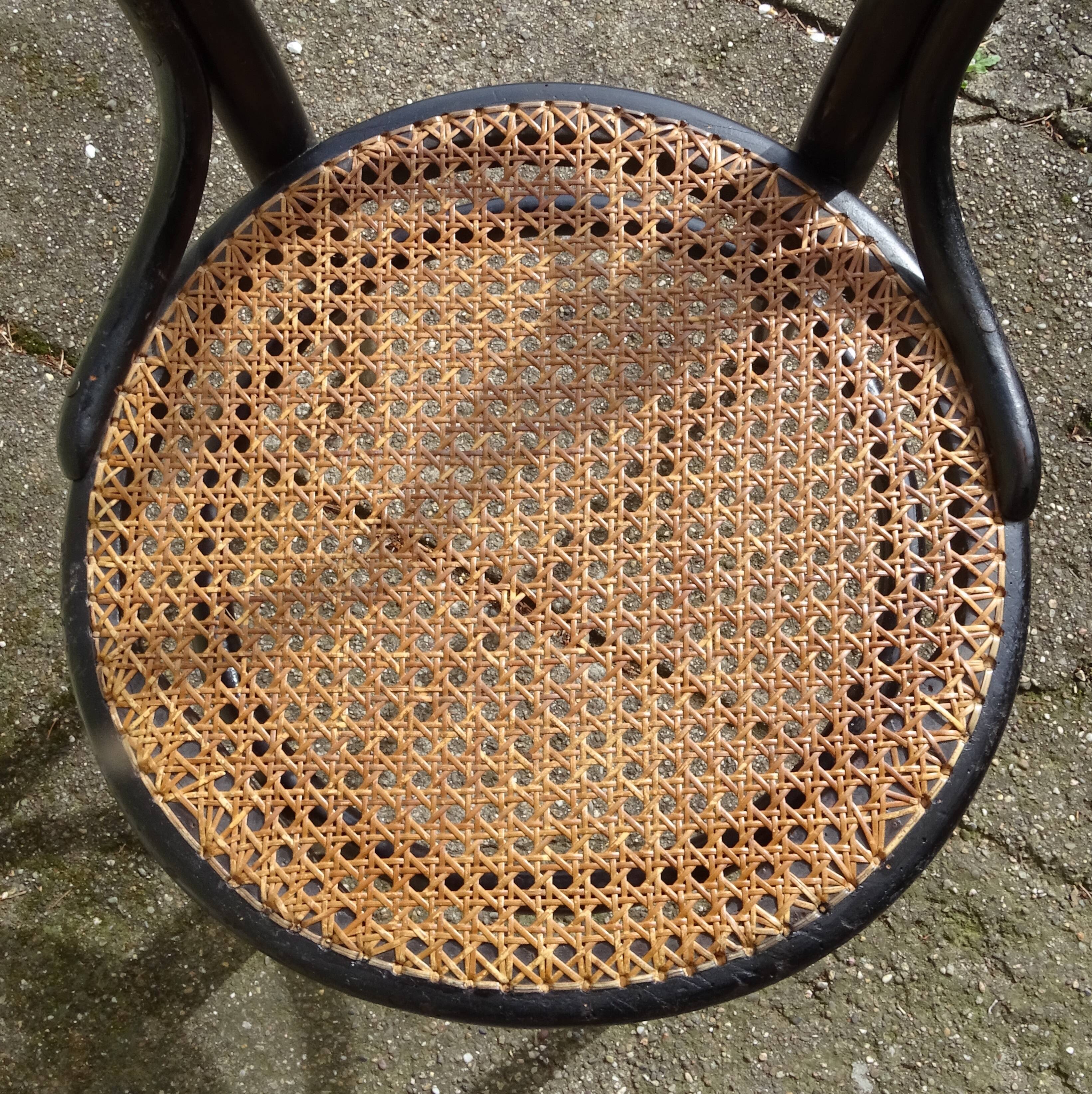 Fauuse pair of chairs n°20"omega" of thonet and lebrun, around 1880