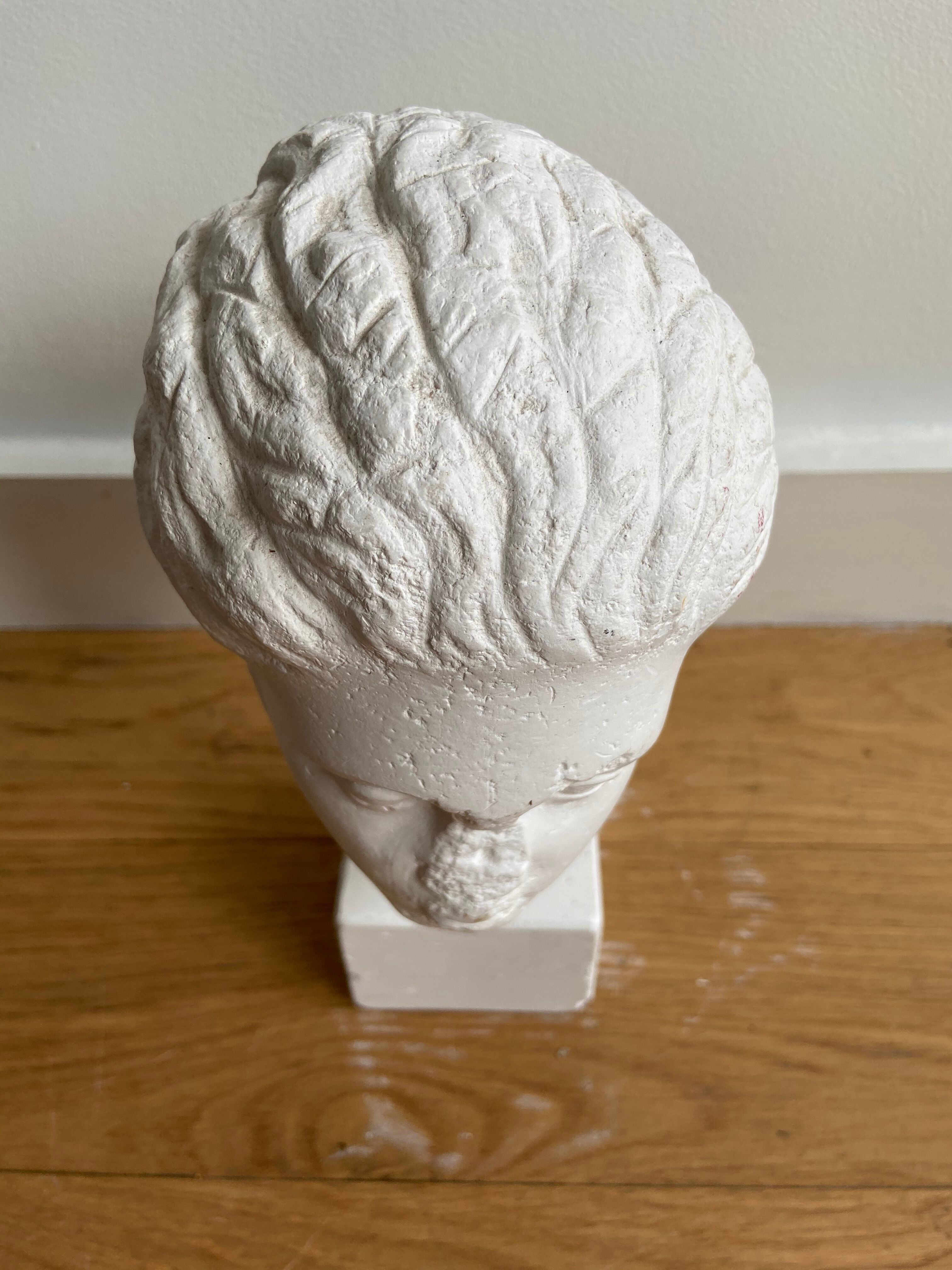 Artemis plaster head