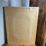 Botanical print, P-J Redouté, Bear's Ears