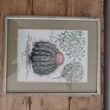 Botanical illustration