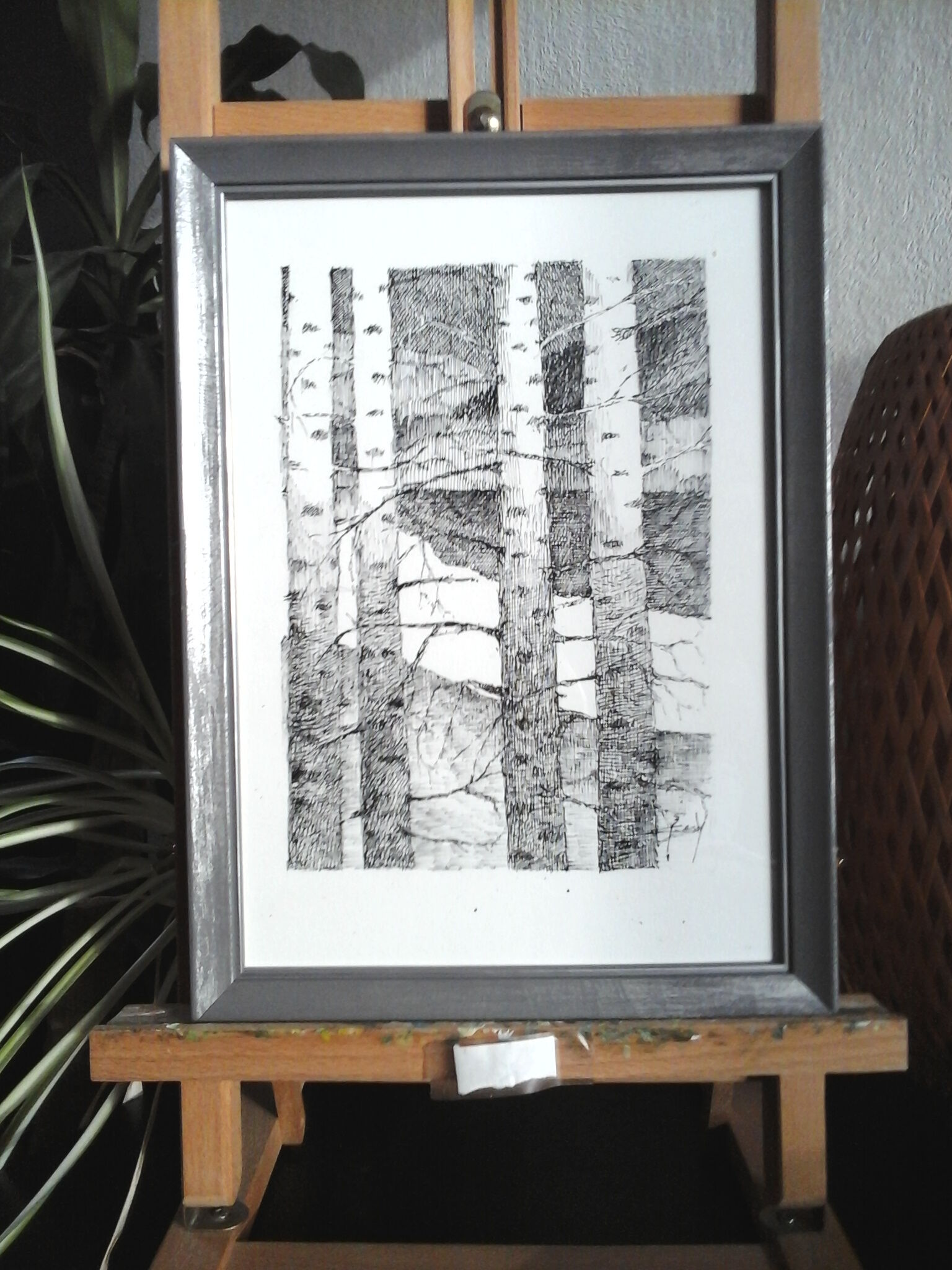 The birch trees, ink from china