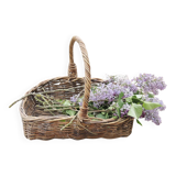 Old Rectangular Light Wicker Basket