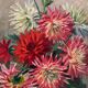 Peinture ancienne tableau huile sur toile fleurs dahlias 