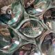 Set of 2 Saint Clément oyster plates in slip