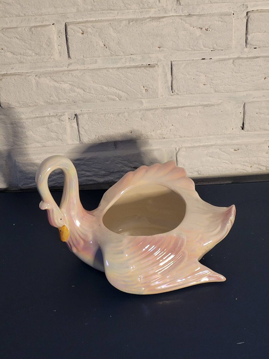 Swan plant pot