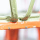 Multipl's three-chair series
