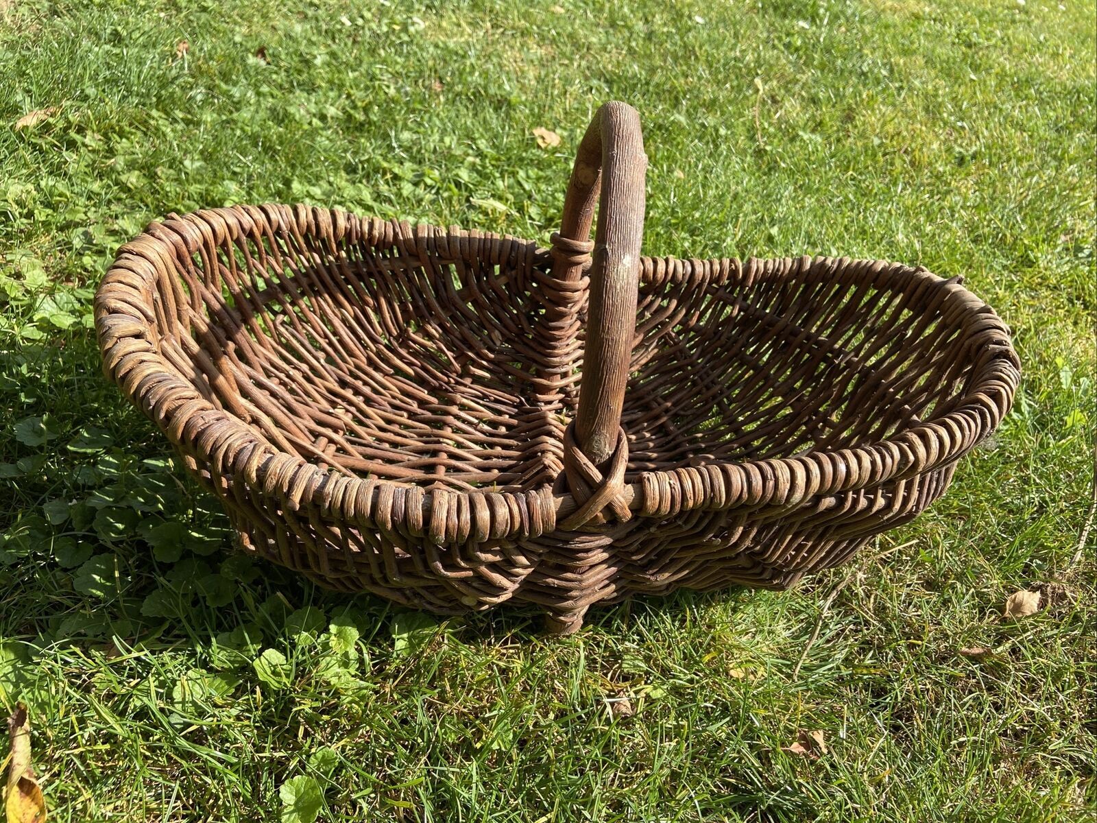 Basket with wicker handle picking vegetable garden mushrooms