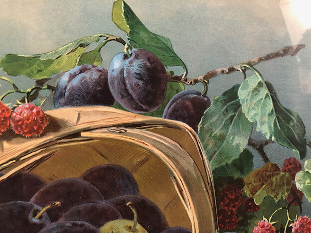 Still life with fruit, framed chromolithograph, under glass