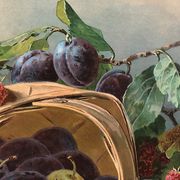 Still life with fruit, framed chromolithograph, under glass