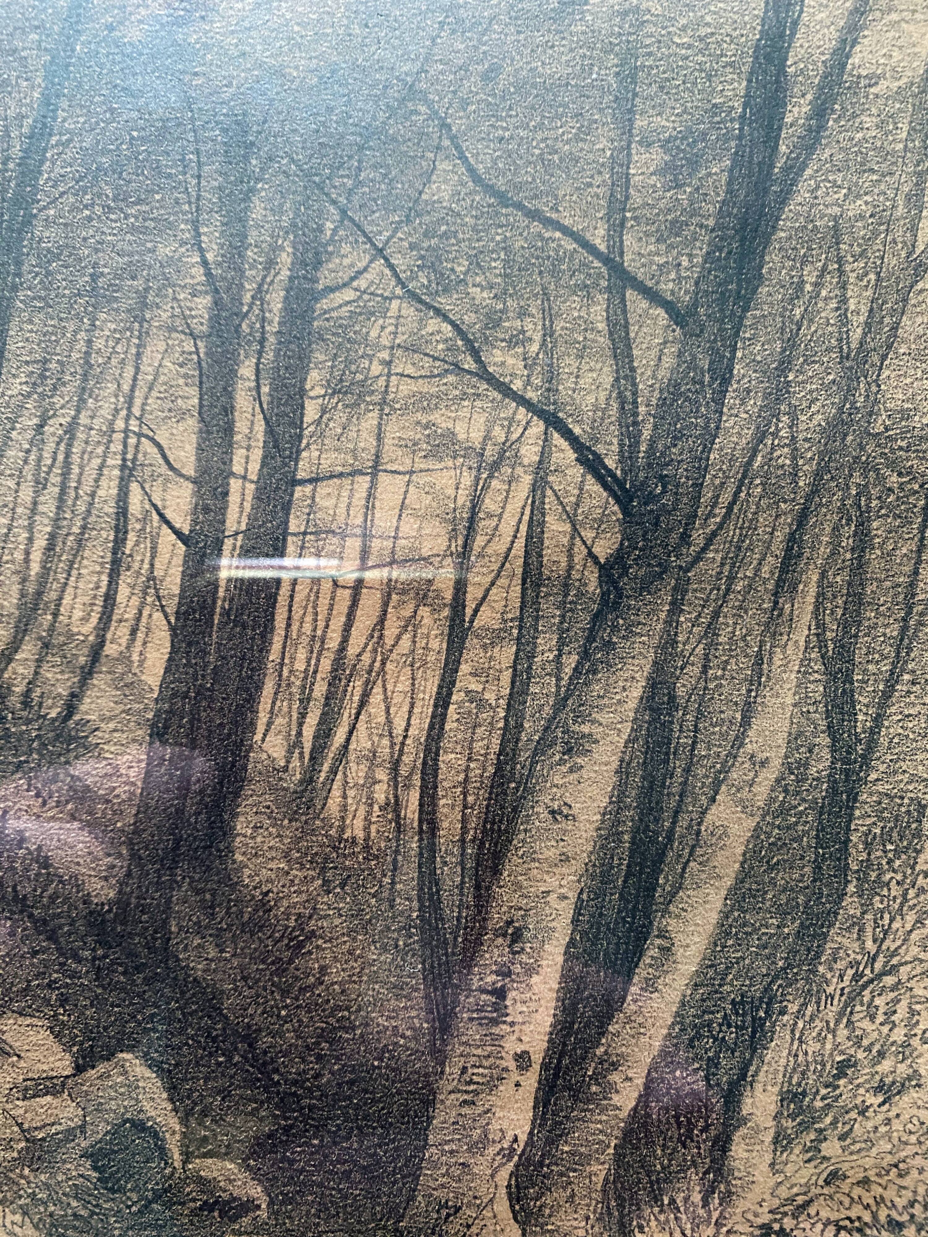 Painting drawing "Underwood" by Victor CASSIEN (1808-1893) + frame