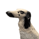 Vintage Italian Ceramic Dog Statue, 1960/70s