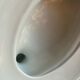 Oven dish in porcelain shaped like a pheasant