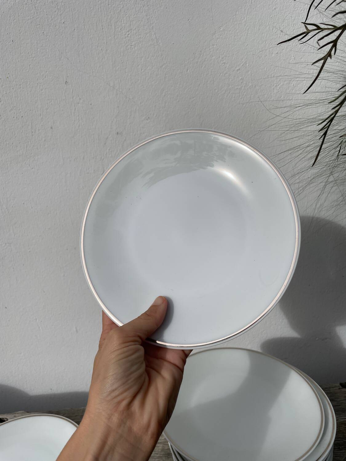 10 assiettes à dessert en porcelaine de Limoges blanches