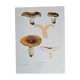 Botanical plate mushroom, 1960