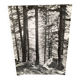 Silver gelatin photograph by Bernard Darot, Undergrowth and rocks, 20th century