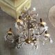 Lustre pampilles