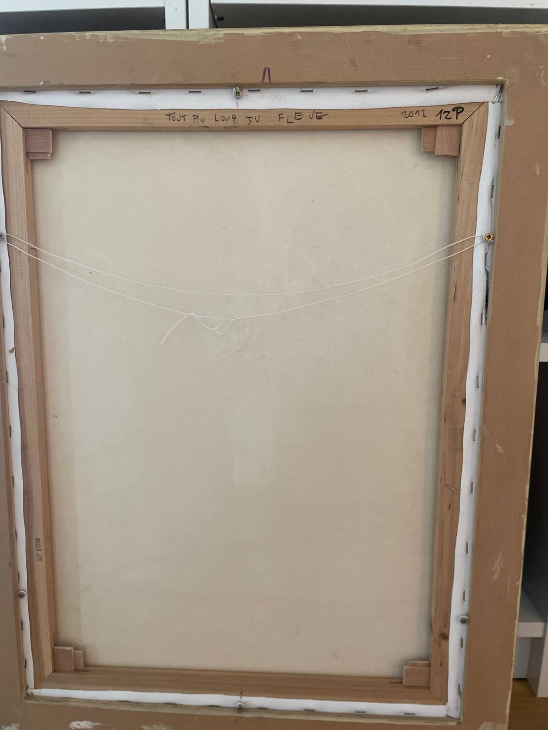 Acrylic on canvas and collage